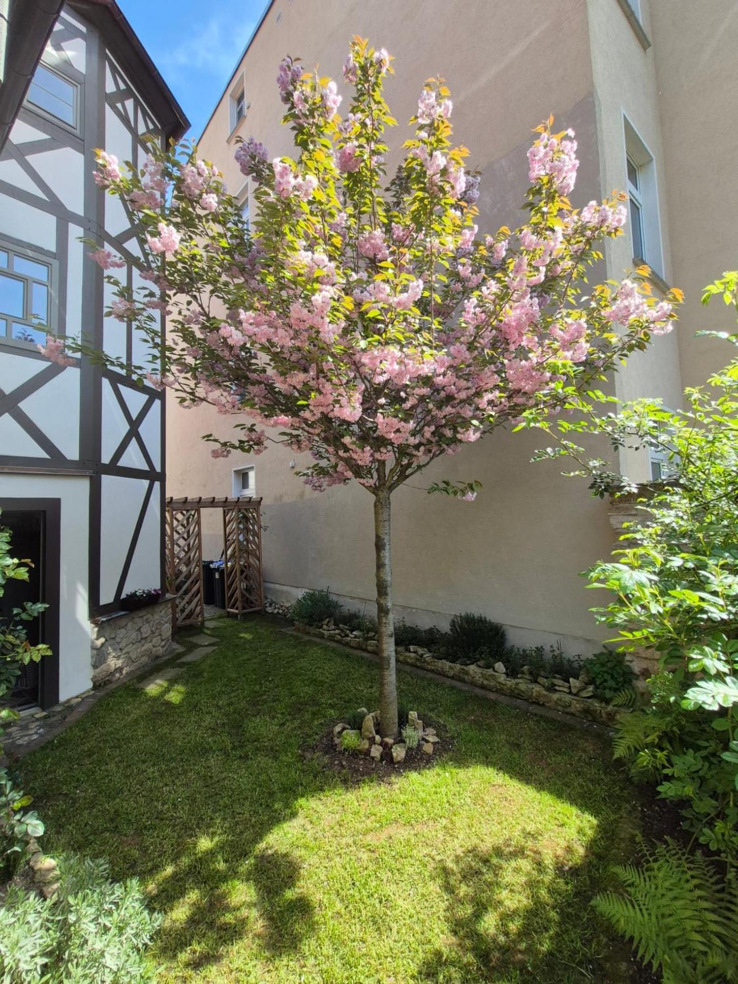 Aussergewoehnliches, Historisches, Spaetgotisches Wohnhaus Von 1519, Gries 5 Gera Kültér fotó